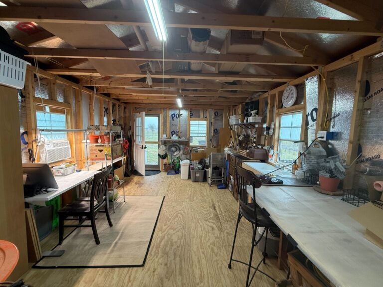 Garden Shed after...